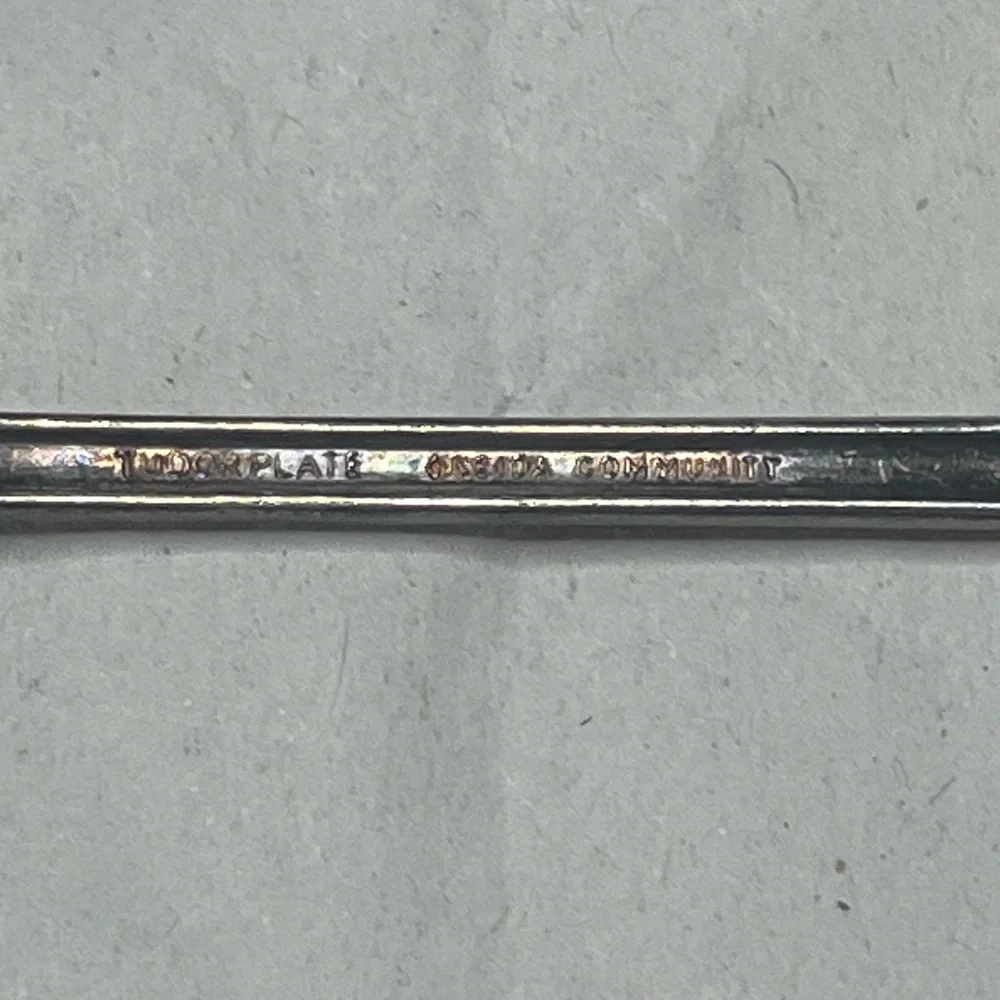 Oneida Community Tudor Plate Queen Bess ice tea‎ spoon